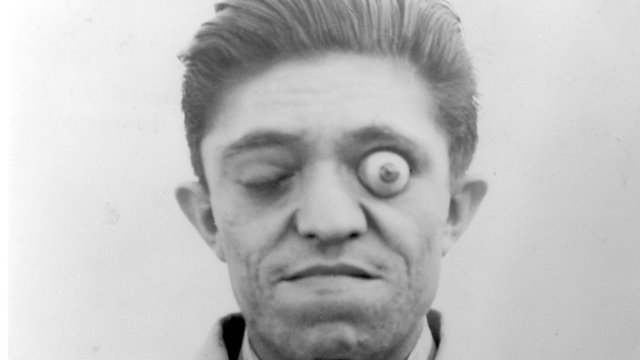 Charles A. Lindbergh