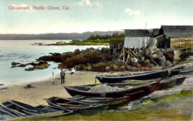 1905-1906: Squid Fishing Collapsed along with China Point