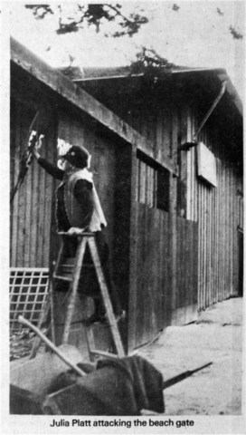 The Gate: Public Access to the Beach