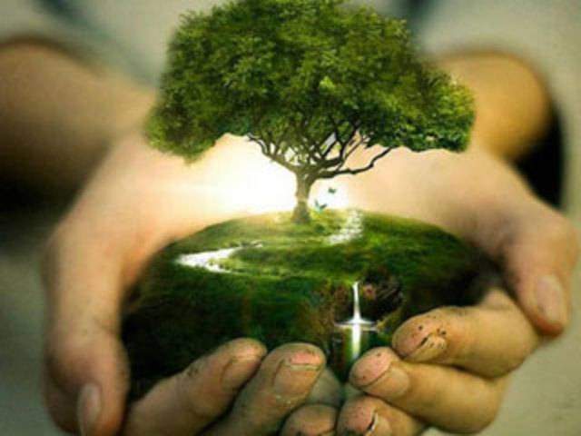 PROTECCIÓN A LOS RECURSOS NATURALES.