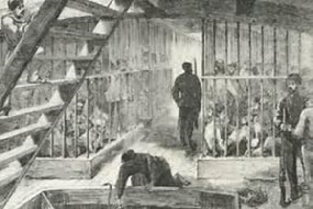 Primera Etapa, Constitución de 1917