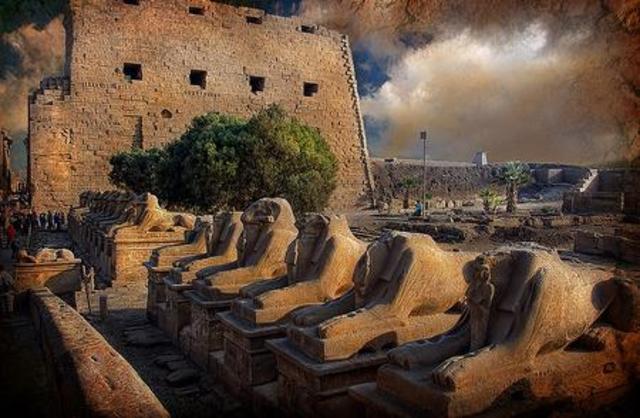 FIGURA DEL INSPECTOR