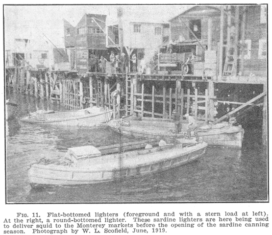 1919 The birth of fishing regulation.