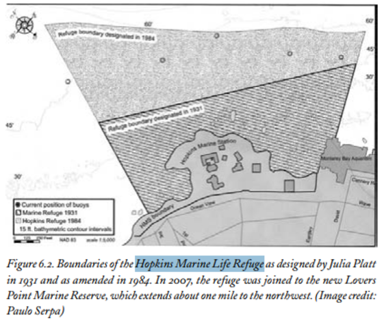Hopkins Marine Life Refuge