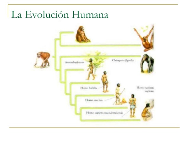 Inicios de la Civilización