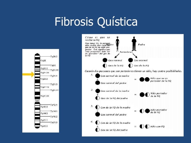 Secuencian un gen humano por primera vez