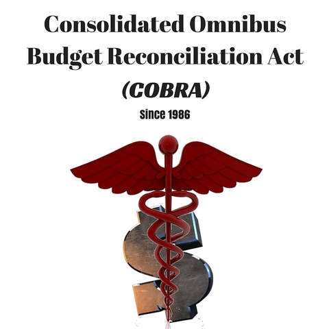 Omnibus Budget Reconciliation