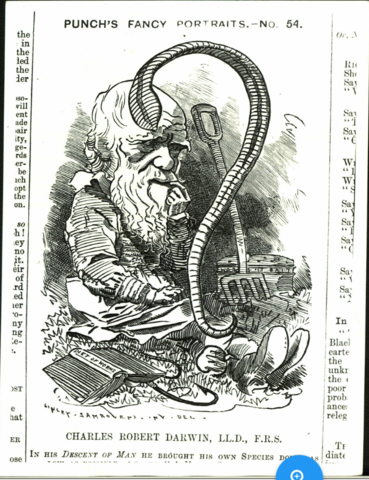 ¡Su primer hallazgo importante!