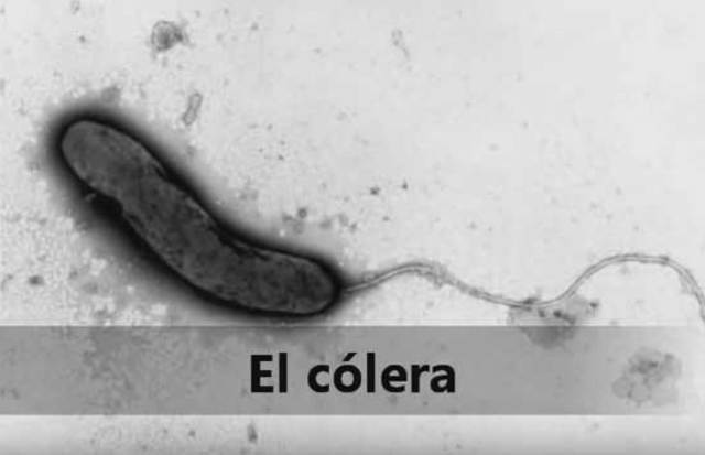CÓLERA EN IRAQ