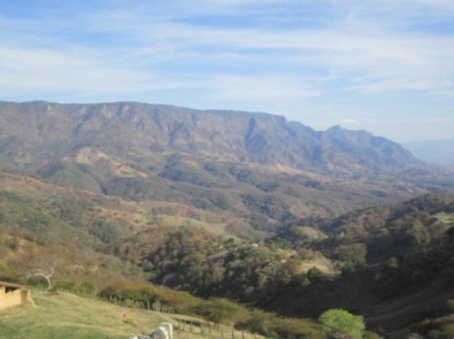 PRIMER CASO DE CÓLERA EN MÉXICO