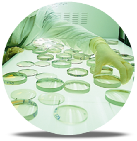 Transitions Optical (1991)