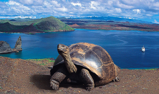 The Great Galapagos Islands
