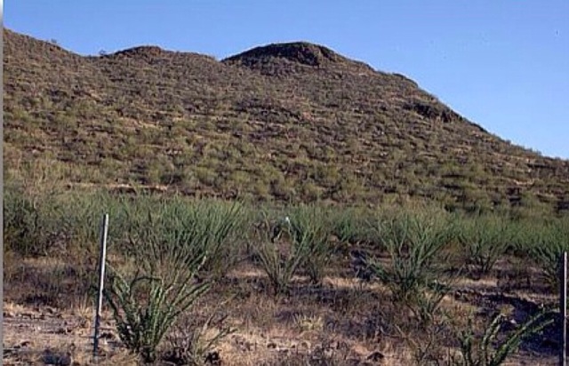 Nacimiento de Aridoamérica