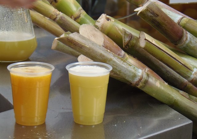 Fermentación enzimática del azúcar