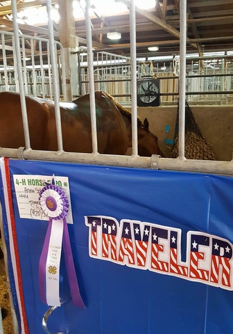 Top 10 at State Horse Expo.