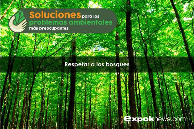 EXPLOTACIONES FORESTALES