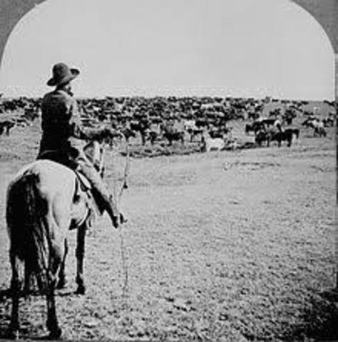 Cattle Drives