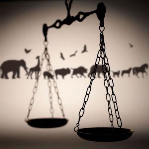 PROTECCIÓN LEGAL DE LA INFANCIA Y LA ADOLESCENCIA