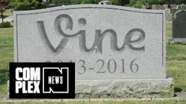 Vine Discontinued