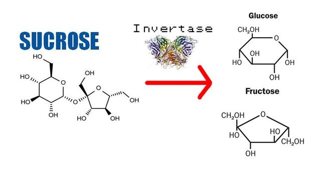J.M. Nelson y E.G. Griffin.