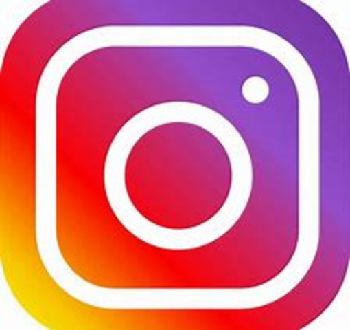 2010 Finsta or Insta