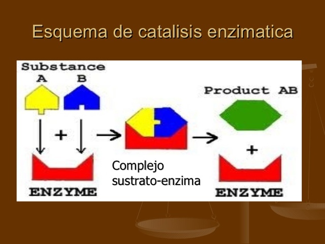 Jons Jacob Berzelius