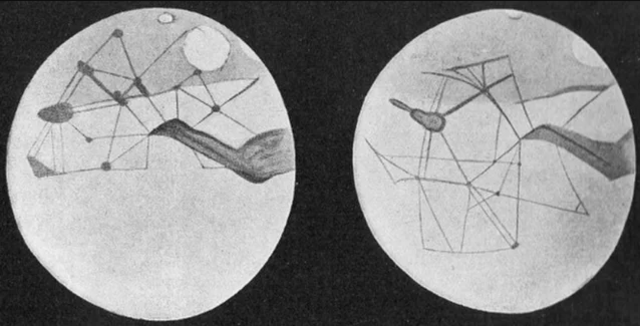 Percival Lowell's Martian Canal drawings