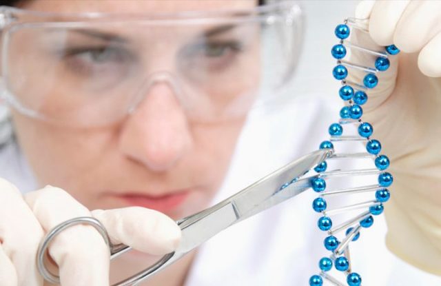 Ingeniería genética.