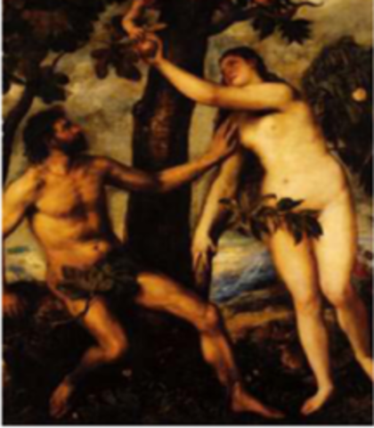 Génesis de la Calidad