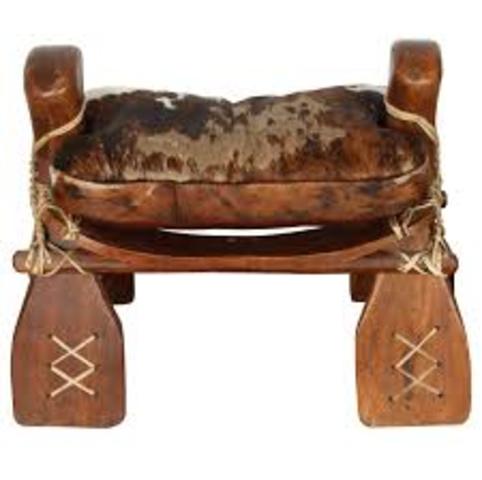 Technology: Camel Saddle