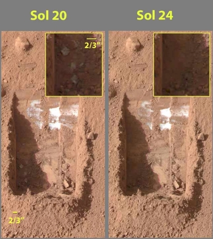 Phoenix Lander view of Mar's arctic plains