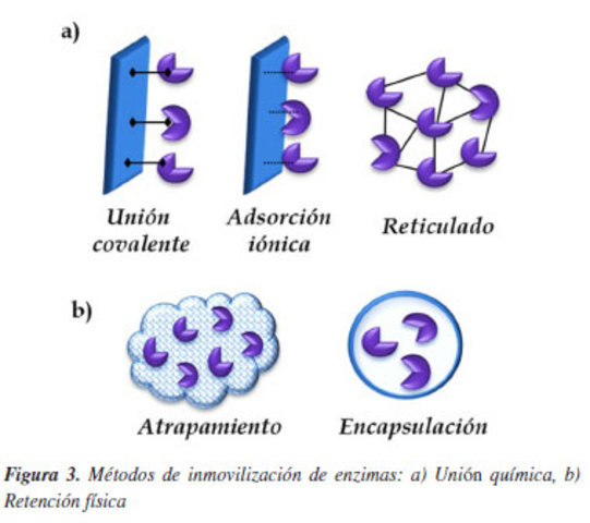 J. M. Nelson y E. G. Griffin