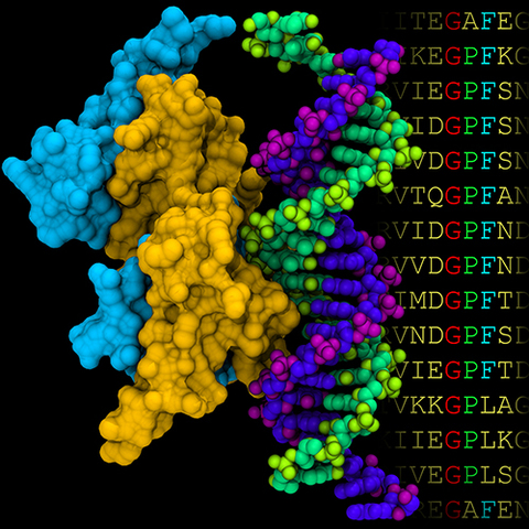 Ingeniería genética