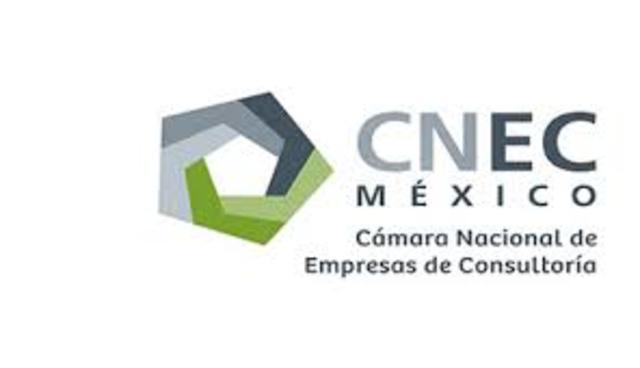 La Cámara Nacional de Empresas en Consultoría (CNEC)