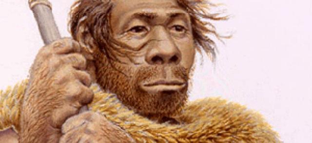 Aparició dels humans