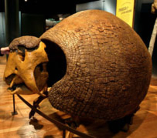 Landing in Punta Alta