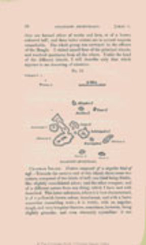 Landing at Porto Praya on St. Jago Island in the Cape Verde Islands