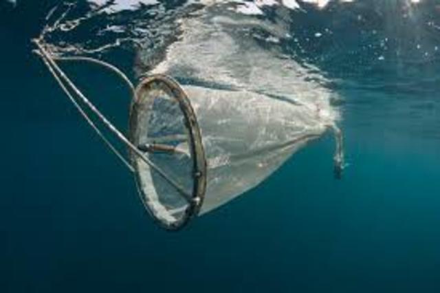 Plankton Net Deployed