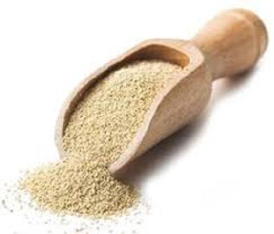 Conversión de glucosa a etanol