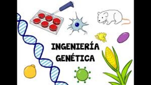Inicio de la "Ingeniería genética"