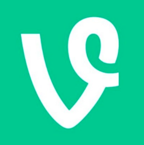 Vine