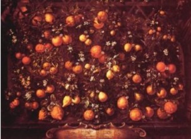 Se halló zumos y néctares