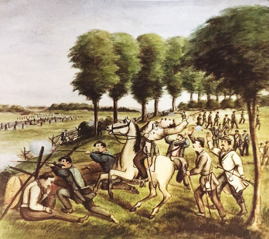 Battle of Fort Erie