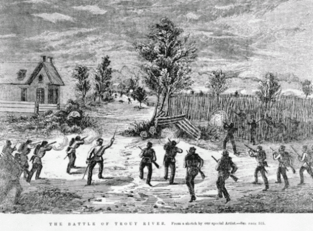 Battle of Trout River