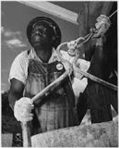 Tennessee Valley Authority