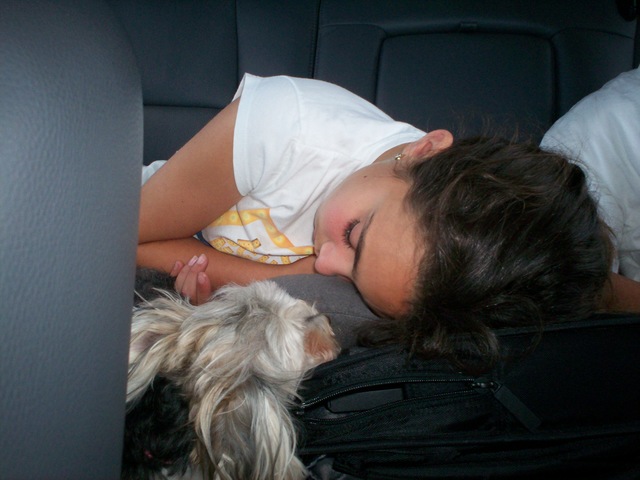 The Great Migration.