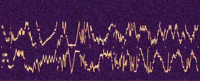 Receive Abnormal Signal from the Space