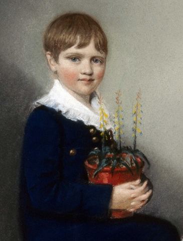 Nacimiento de Darwin