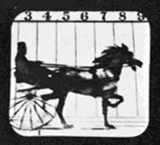 Eadweard Maybridge Creates a Moving Picture