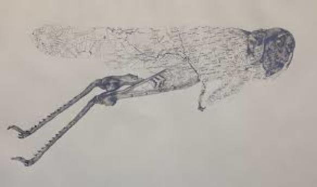 The Great Plague (Part 1)